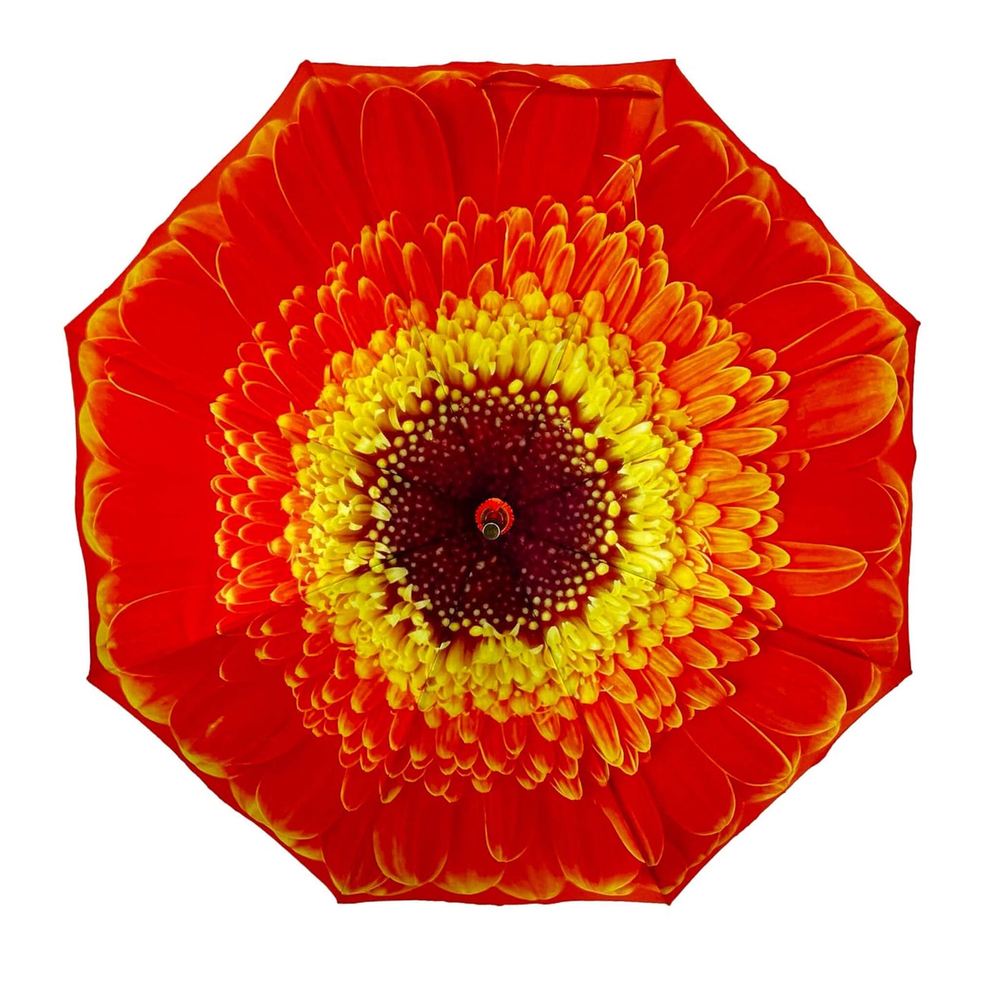 Storm King Floral Umbrella Featuring Orange Daisy Design