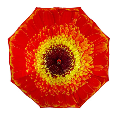 Storm King Floral Umbrella Featuring Orange Daisy Design