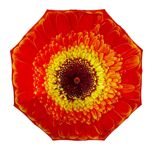 Storm King Floral Umbrella Featuring Orange Daisy Design