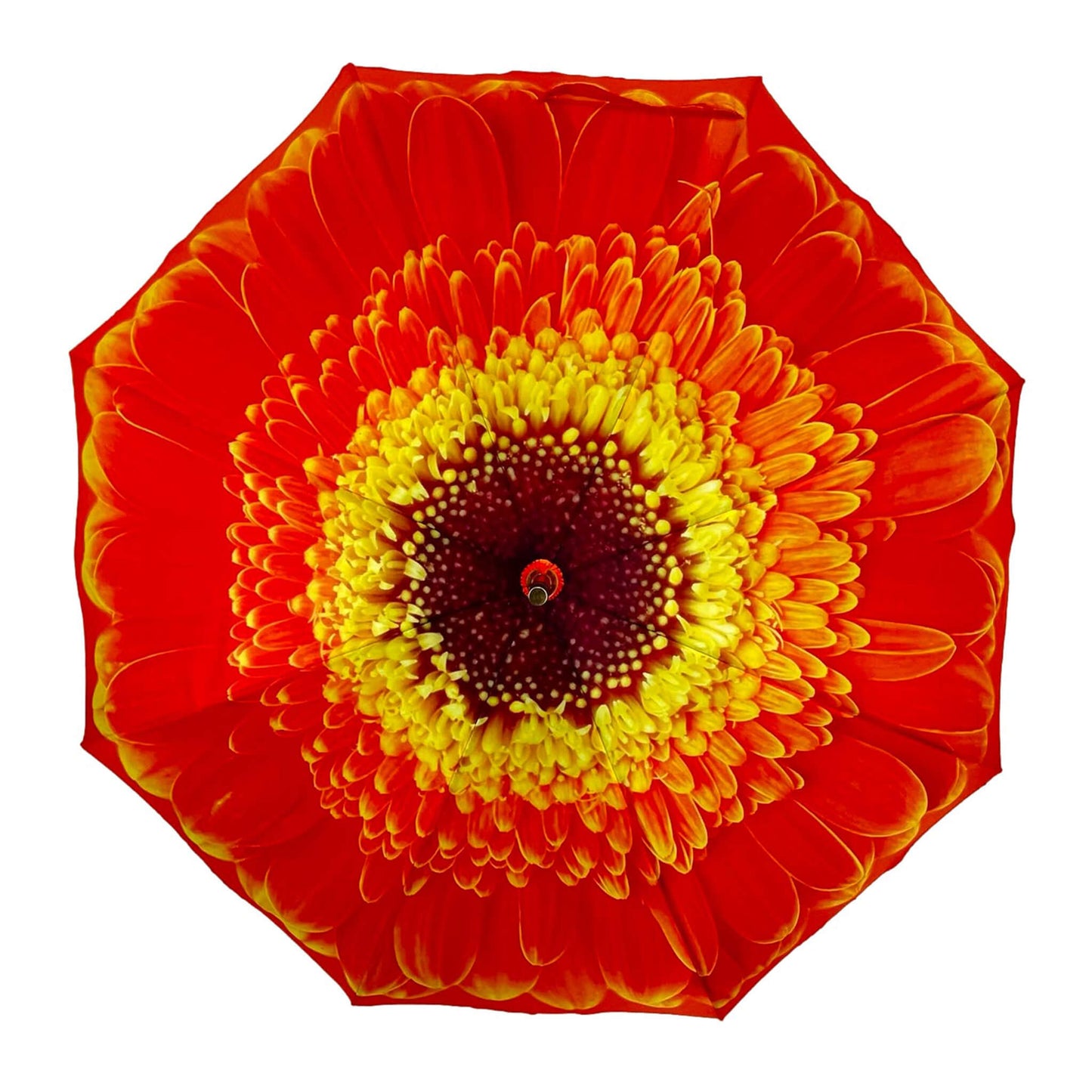 Storm King Floral Umbrella Light Orange Daisy