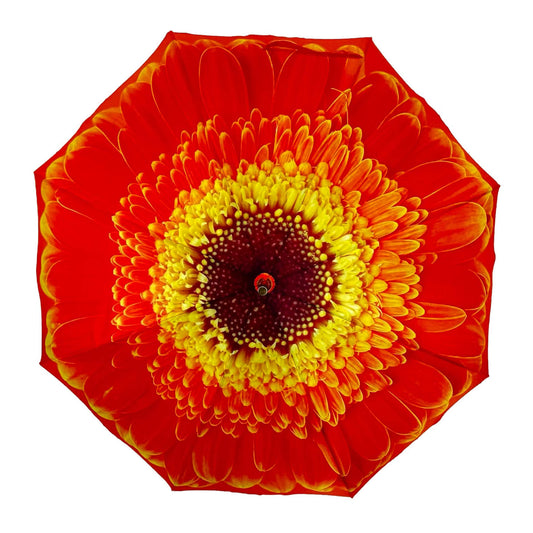Storm King Floral Umbrella Light Orange Daisy