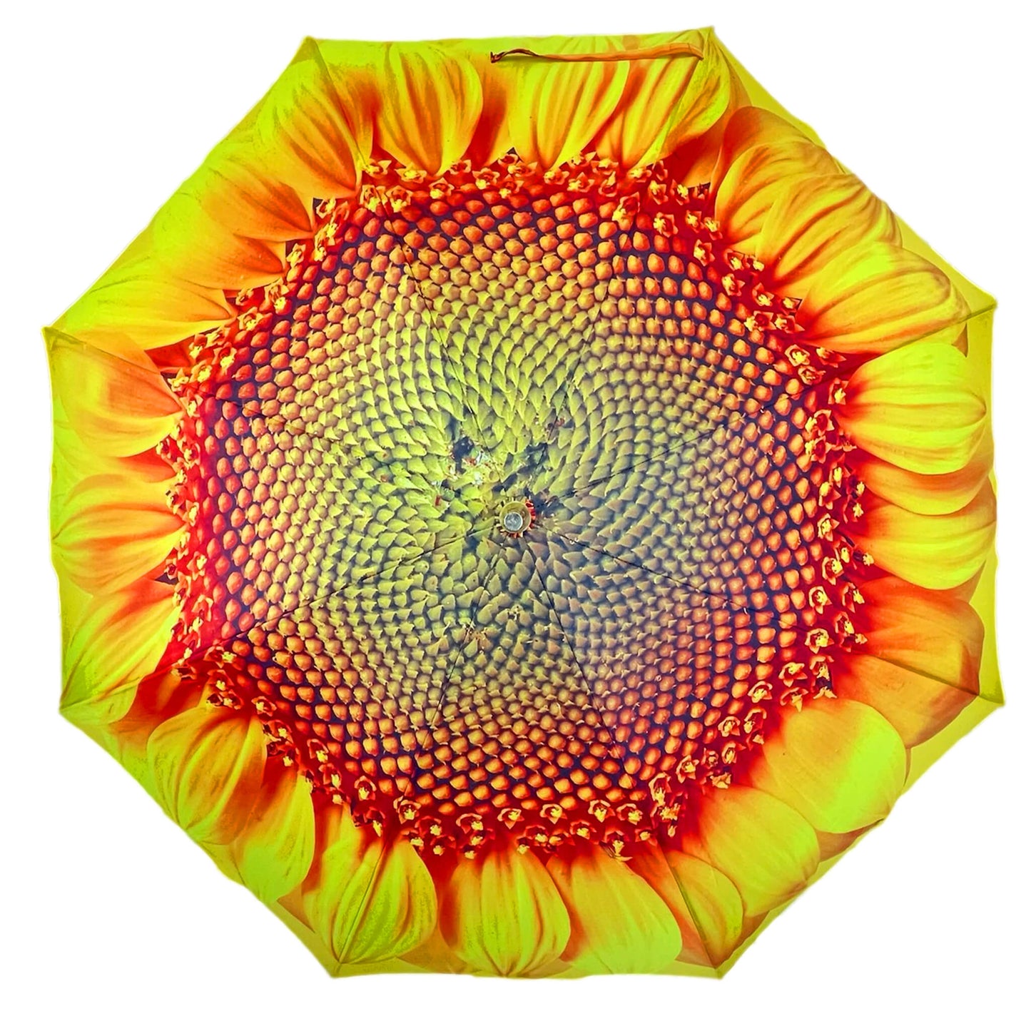 Umbrella Wall Light Sunflower