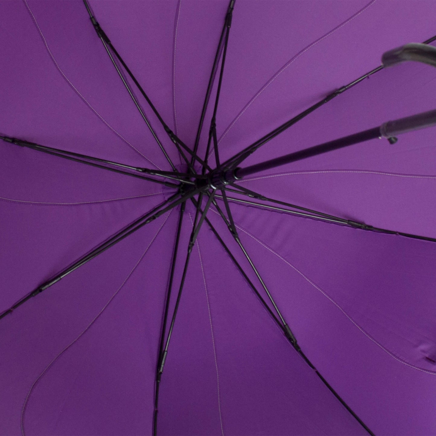 Swirl Umbrella in Purple