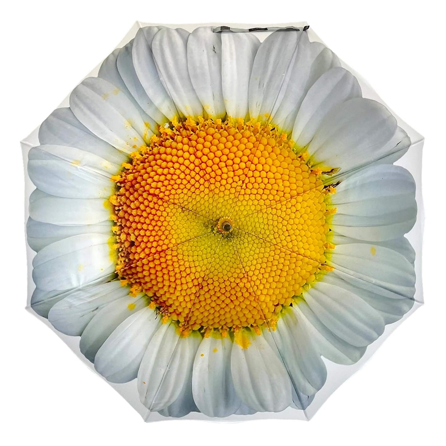 Storm King Floral Umbrella Featuring White Daisy Design