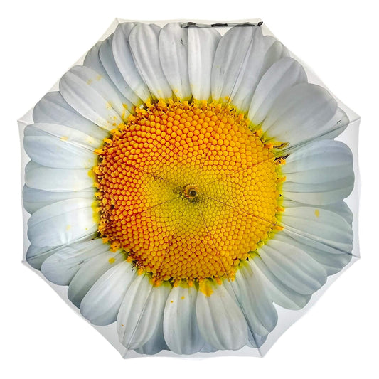Storm King Floral Umbrella Featuring White Daisy Design