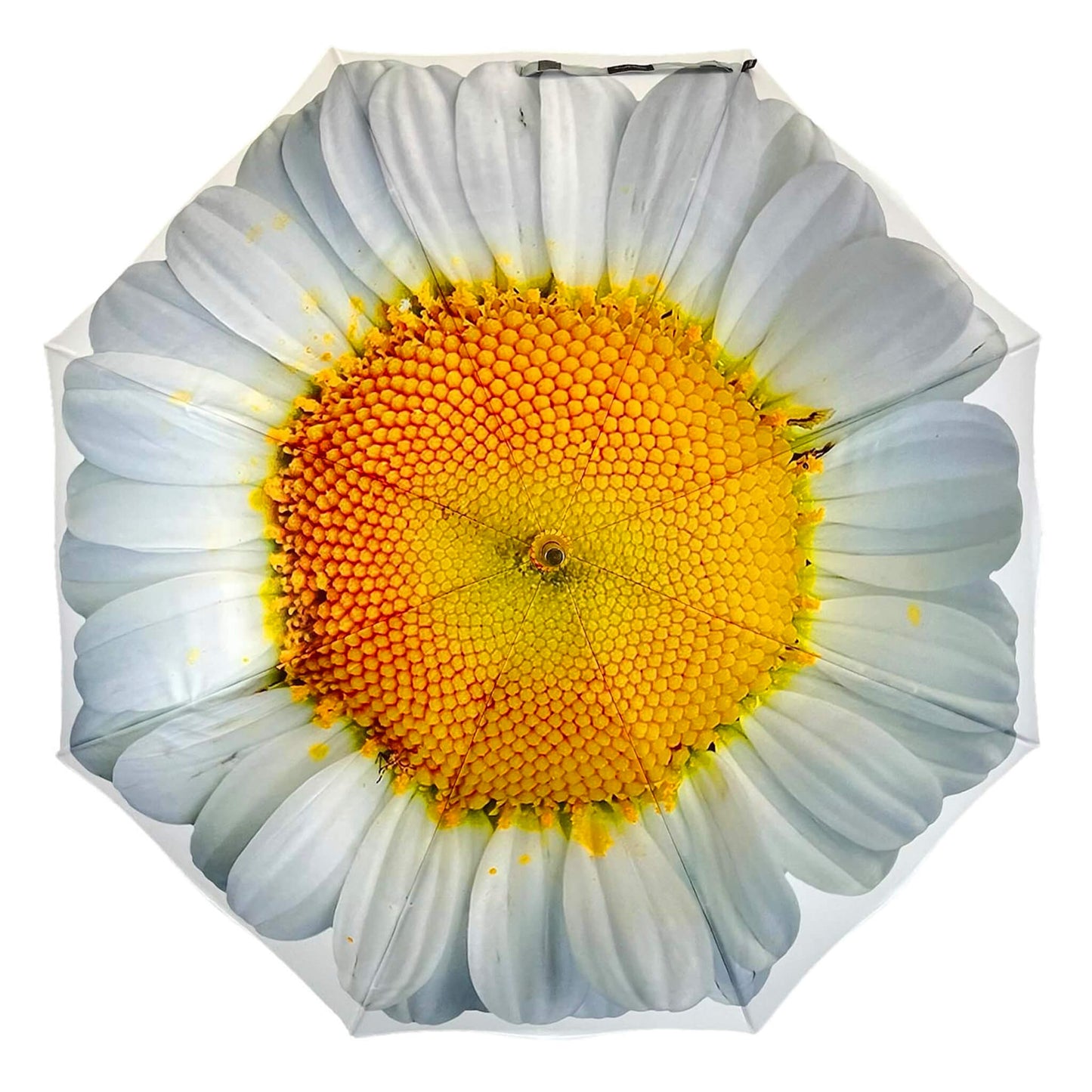 Storm King Floral Umbrella Light White Daisy